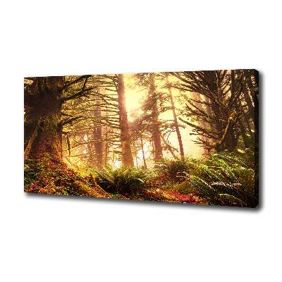 Cuadro canvas moderno de gran formato horizontal Selva tropical