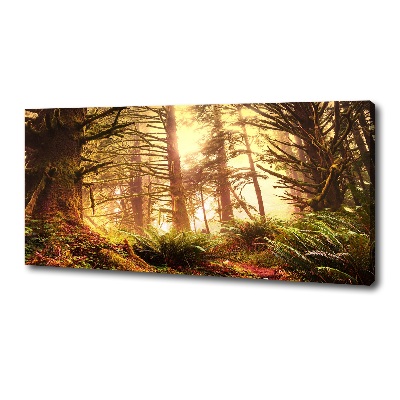 Cuadro canvas moderno de gran formato horizontal Selva tropical