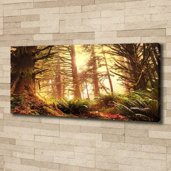 Cuadro canvas moderno de gran formato horizontal Selva tropical