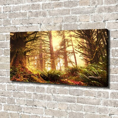 Cuadro canvas moderno de gran formato horizontal Selva tropical