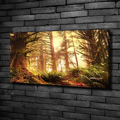 Cuadro canvas moderno de gran formato horizontal Selva tropical