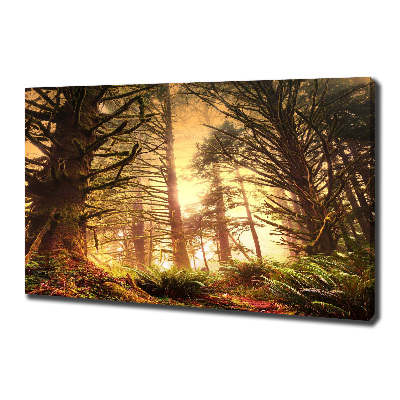 Cuadro canvas moderno de gran formato horizontal Selva tropical