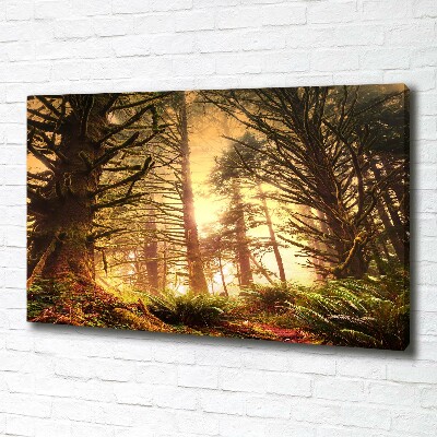 Cuadro canvas moderno de gran formato horizontal Selva tropical