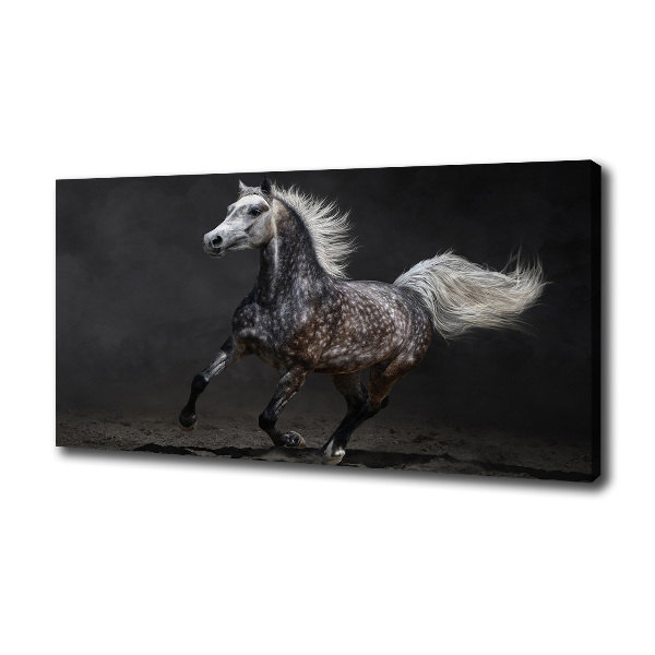 Cuadro canvas con impresión uv duradera horizontal Caballo árabe gris