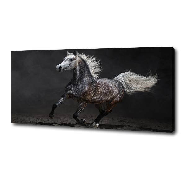 Cuadro canvas con impresión uv duradera horizontal Caballo árabe gris
