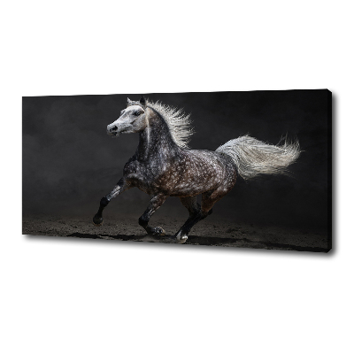Cuadro canvas con impresión uv duradera horizontal Caballo árabe gris