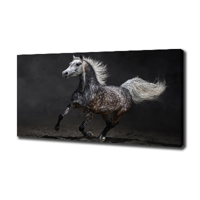 Cuadro canvas con impresión uv duradera horizontal Caballo árabe gris
