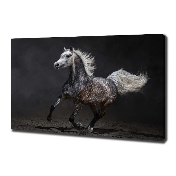 Cuadro canvas con impresión uv duradera horizontal Caballo árabe gris