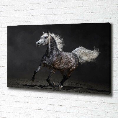 Cuadro canvas con impresión uv duradera horizontal Caballo árabe gris