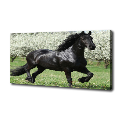 Fotocuadro en lienzo de alta calidad horizontal Flores de caballo negro