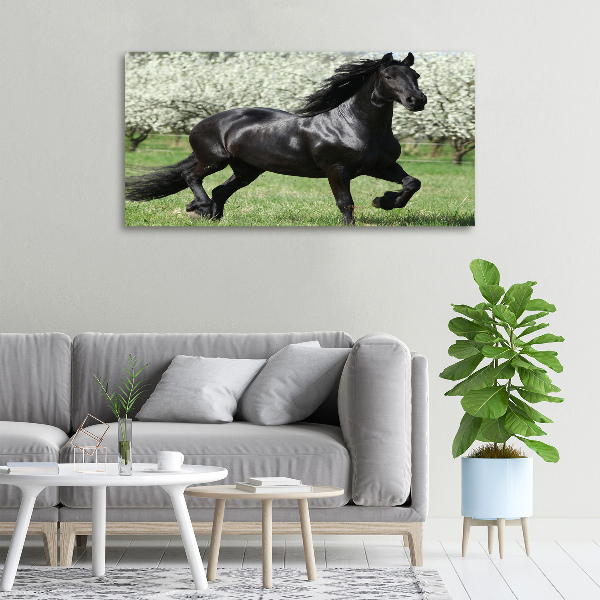Fotocuadro en lienzo de alta calidad horizontal Flores de caballo negro