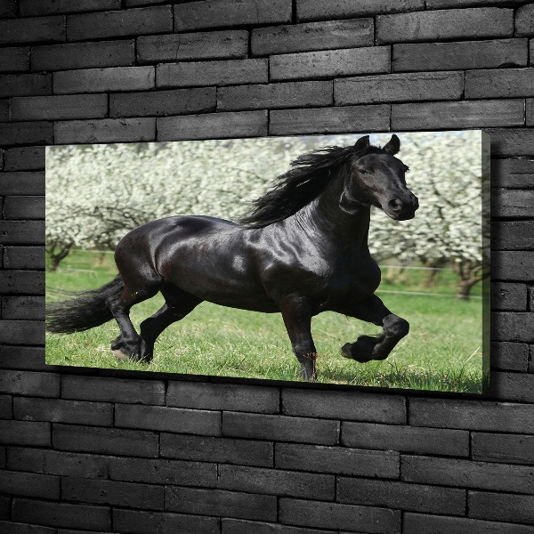 Fotocuadro en lienzo de alta calidad horizontal Flores de caballo negro