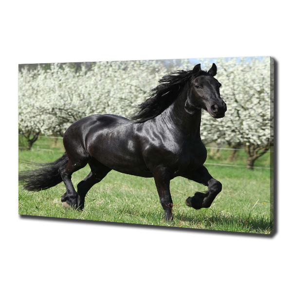 Fotocuadro en lienzo de alta calidad horizontal Flores de caballo negro