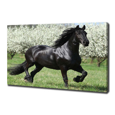 Fotocuadro en lienzo de alta calidad horizontal Flores de caballo negro