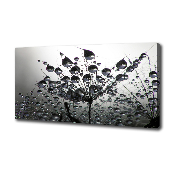 Fotocuadro en lienzo de alta calidad horizontal semillas de diente de león