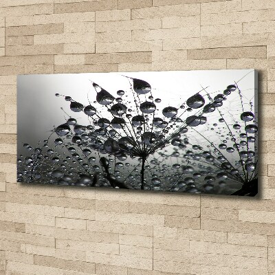 Fotocuadro en lienzo de alta calidad horizontal semillas de diente de león