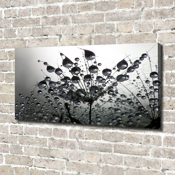 Fotocuadro en lienzo de alta calidad horizontal semillas de diente de león