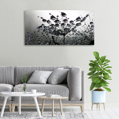 Foto obraz na płótnie Nasiona dmuchawca