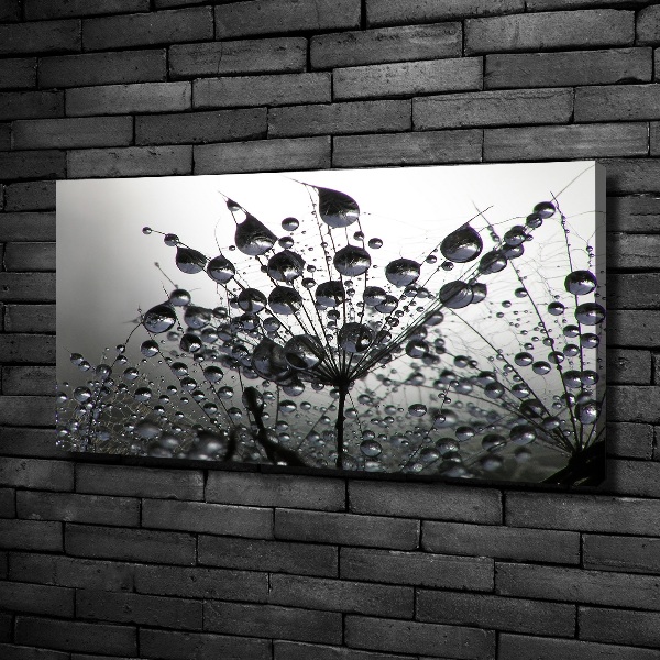 Fotocuadro en lienzo de alta calidad horizontal semillas de diente de león