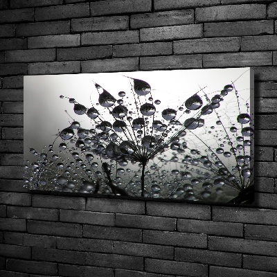 Fotocuadro en lienzo de alta calidad horizontal semillas de diente de león