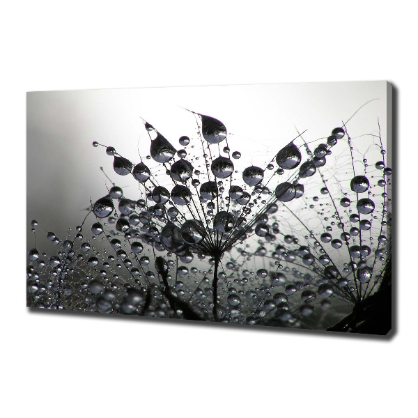 Fotocuadro en lienzo de alta calidad horizontal semillas de diente de león