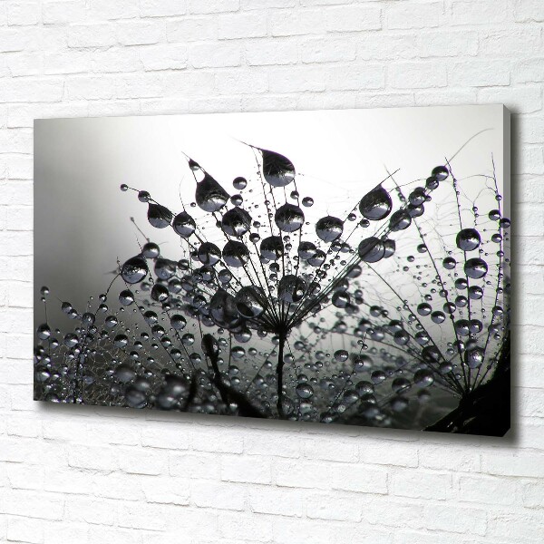 Fotocuadro en lienzo de alta calidad horizontal semillas de diente de león