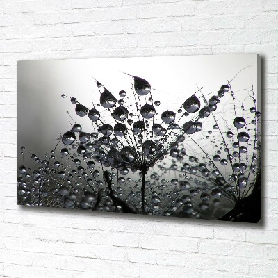 Fotocuadro en lienzo de alta calidad horizontal semillas de diente de león