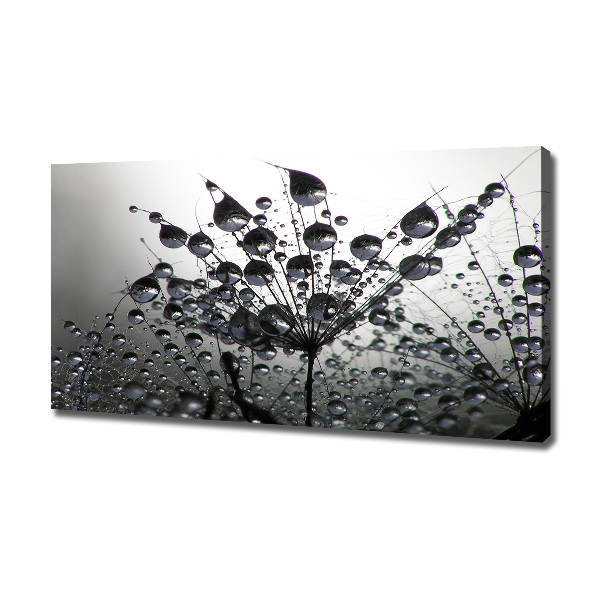 Fotocuadro en lienzo de alta calidad horizontal semillas de diente de león