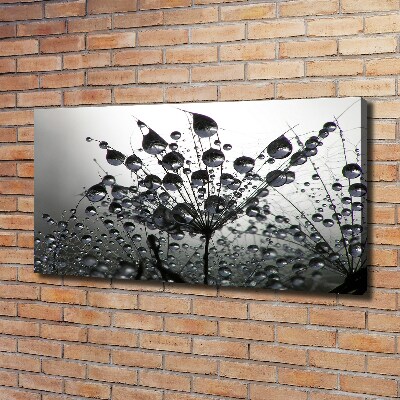 Fotocuadro en lienzo de alta calidad horizontal semillas de diente de león