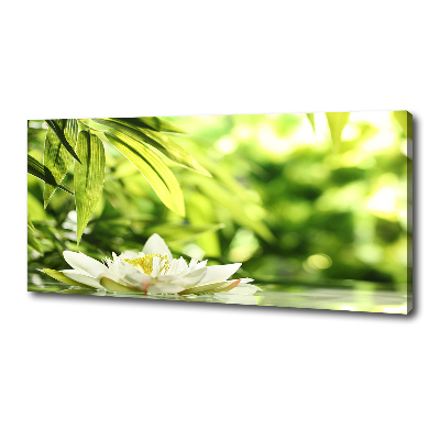 Cuadro canvas con impresión uv duradera horizontal Nenúfar