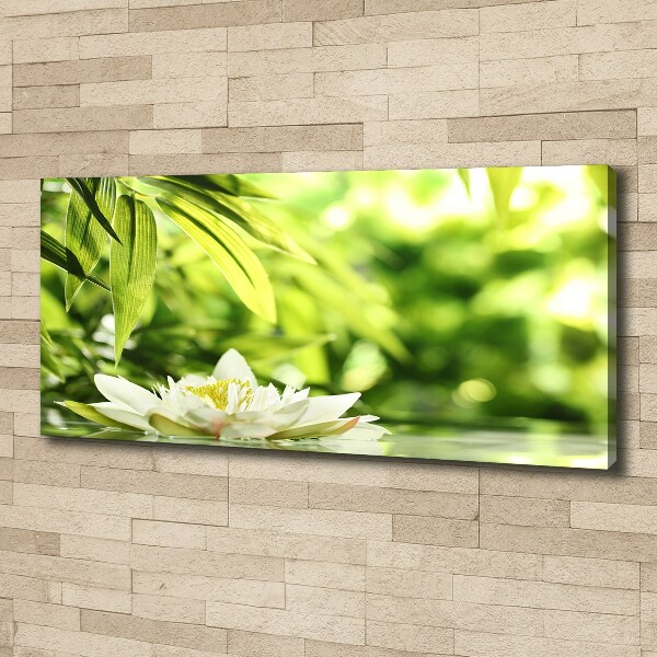 Cuadro canvas con impresión uv duradera horizontal Nenúfar