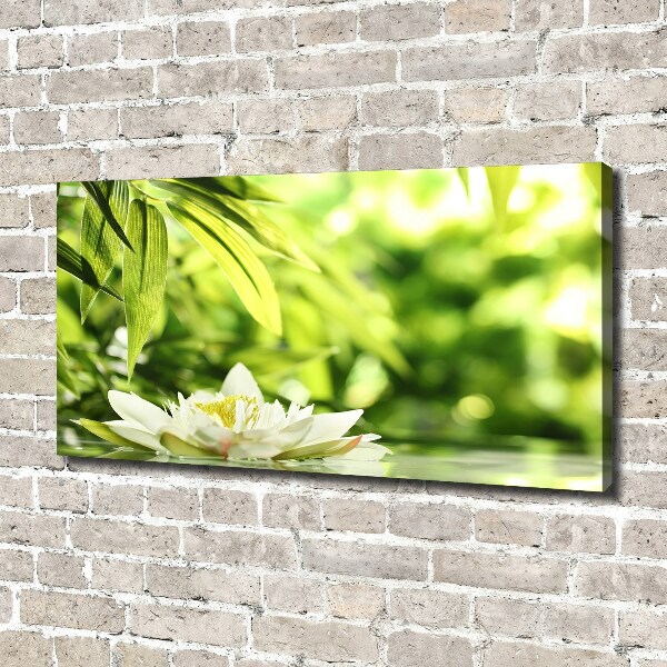 Cuadro canvas con impresión uv duradera horizontal Nenúfar