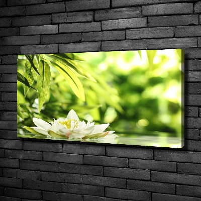 Cuadro canvas con impresión uv duradera horizontal Nenúfar