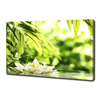 Cuadro canvas con impresión uv duradera horizontal Nenúfar