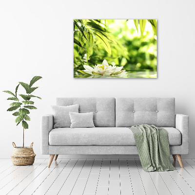 Cuadro canvas con impresión uv duradera horizontal Nenúfar