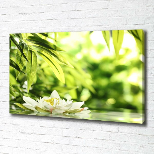 Cuadro canvas con impresión uv duradera horizontal Nenúfar