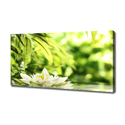 Cuadro canvas con impresión uv duradera horizontal Nenúfar