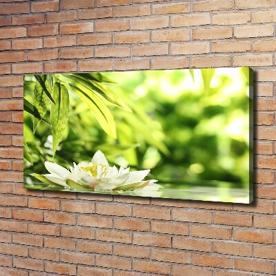 Cuadro canvas con impresión uv duradera horizontal Nenúfar