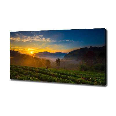 Cuadro canvas moderno de gran formato horizontal Plantación de té