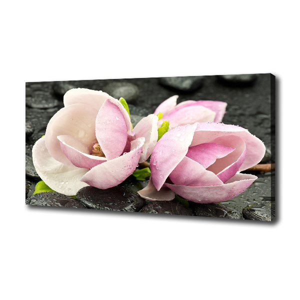 Fotocuadro en lienzo de alta calidad horizontal Piedra zen de magnolia