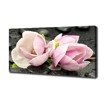 Fotocuadro en lienzo de alta calidad horizontal Piedra zen de magnolia