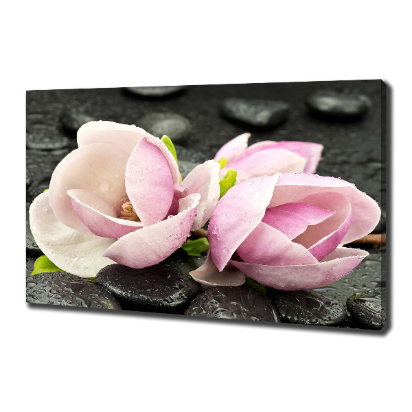 Fotocuadro en lienzo de alta calidad horizontal Piedra zen de magnolia