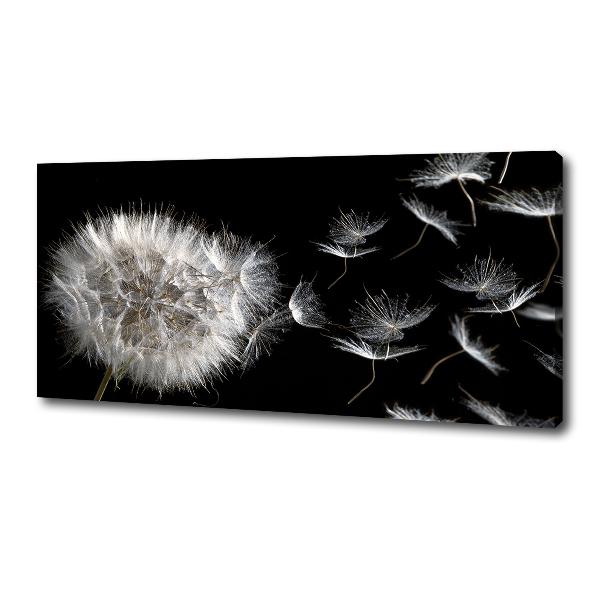 Cuadro canvas con impresión uv duradera horizontal Diente de león