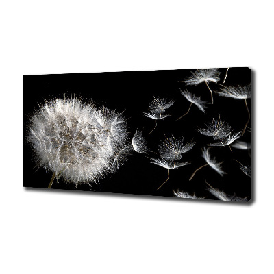 Cuadro canvas con impresión uv duradera horizontal Diente de león