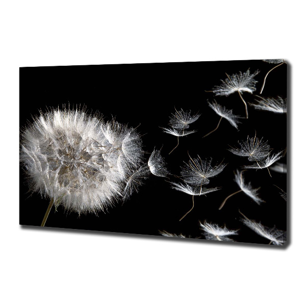 Cuadro canvas con impresión uv duradera horizontal Diente de león