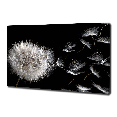 Cuadro canvas con impresión uv duradera horizontal Diente de león