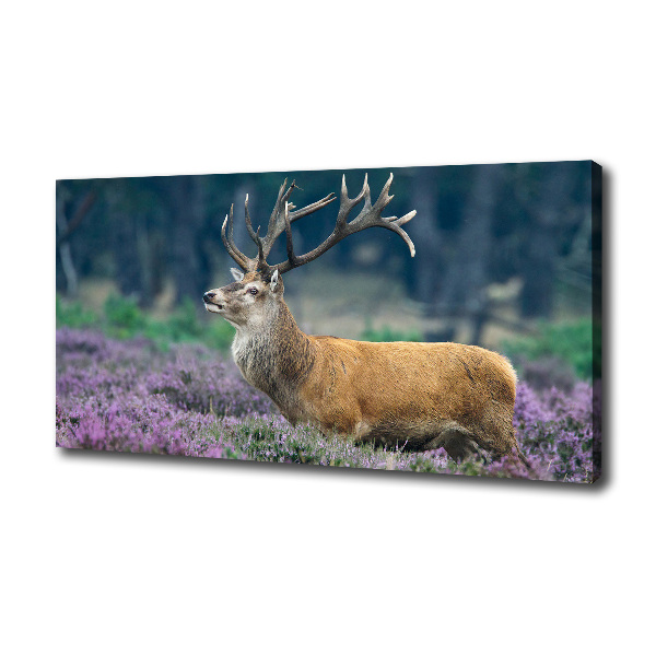Foto en lienzo con acabado profesional horizontal Ciervos entre la lavanda
