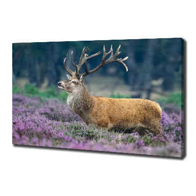 Foto en lienzo con acabado profesional horizontal Ciervos entre la lavanda