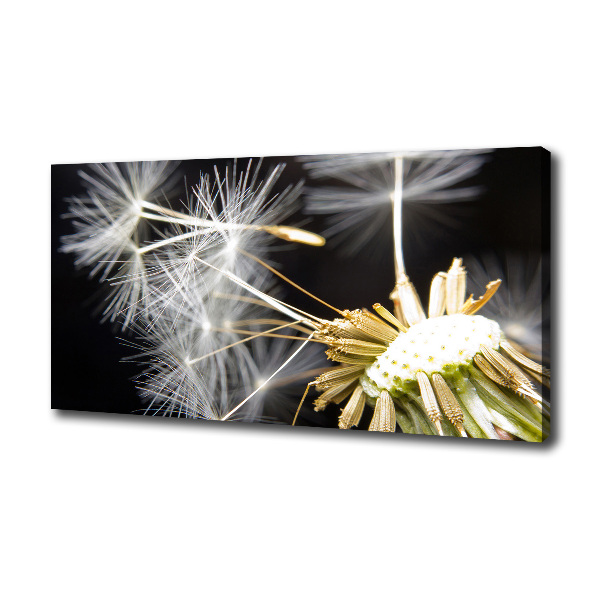 Cuadro canvas con impresión uv duradera horizontal semillas de diente de león
