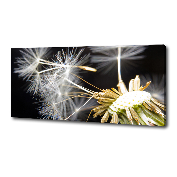 Cuadro canvas con impresión uv duradera horizontal semillas de diente de león